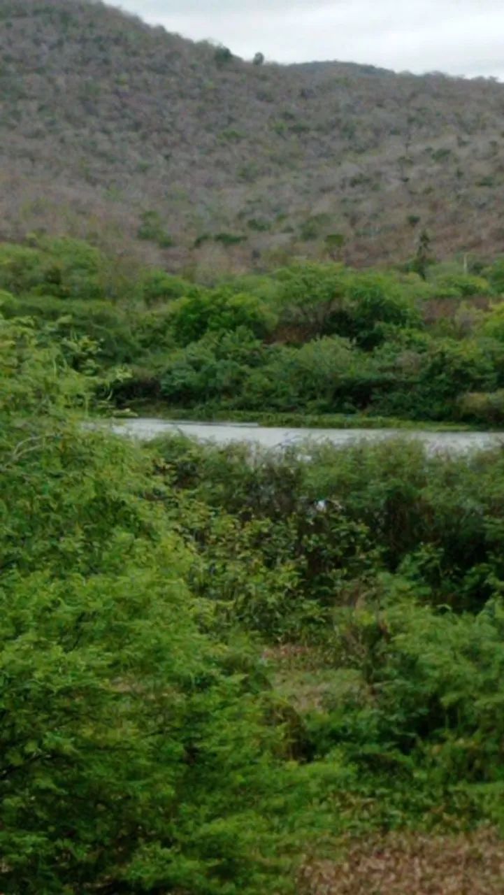 Fazenda em Jequié  - Foto 2