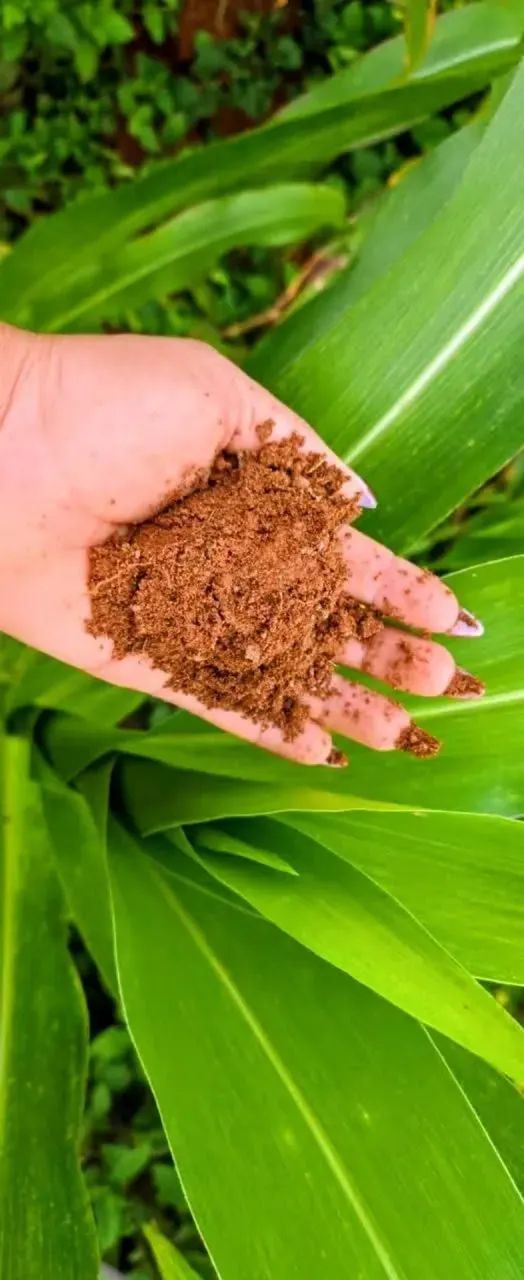 promoção terra fértil - Foto 3