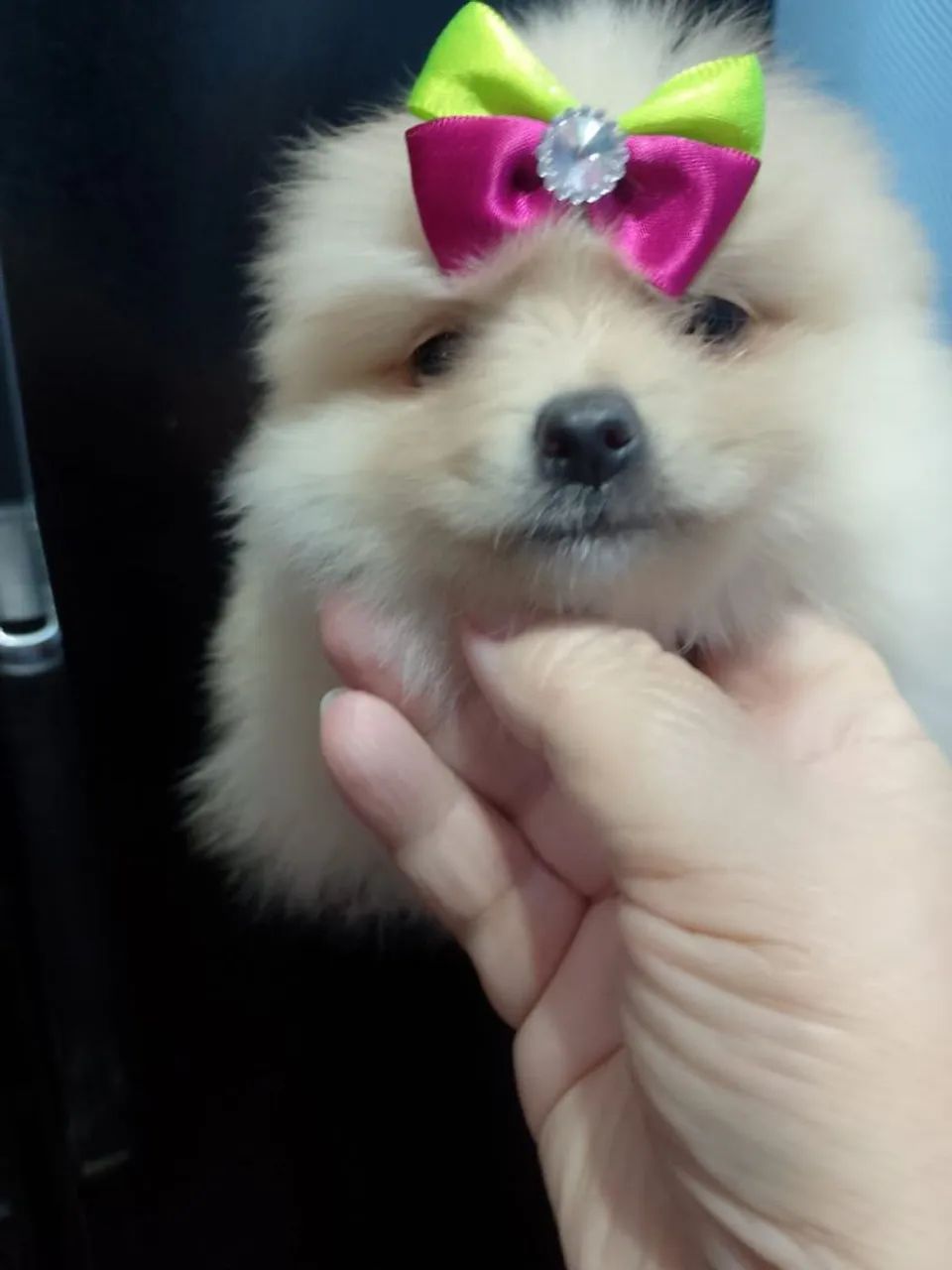 LULU FEMEA E MACHINHO  - Foto 5