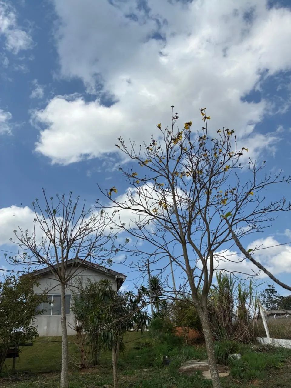 Chácara com piscina e edícula 2.239 m2 - Foto 5