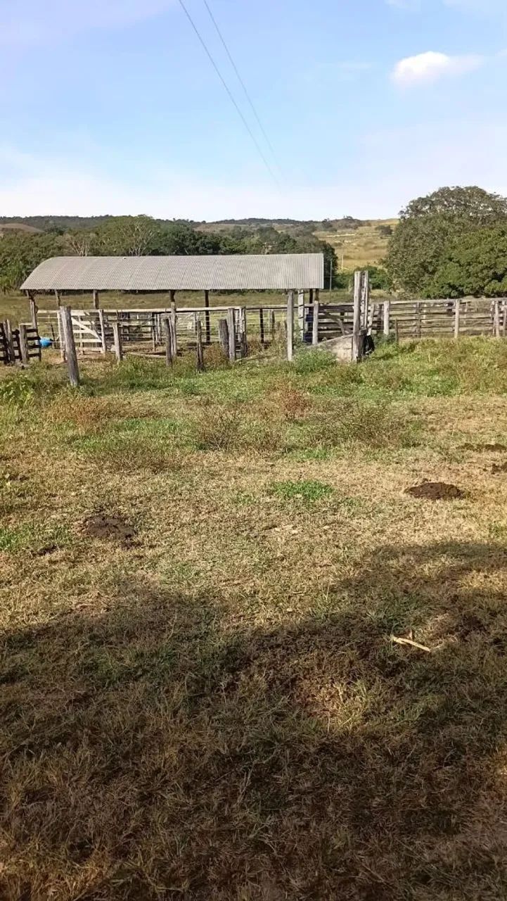 Fazenda a venda - Foto 4