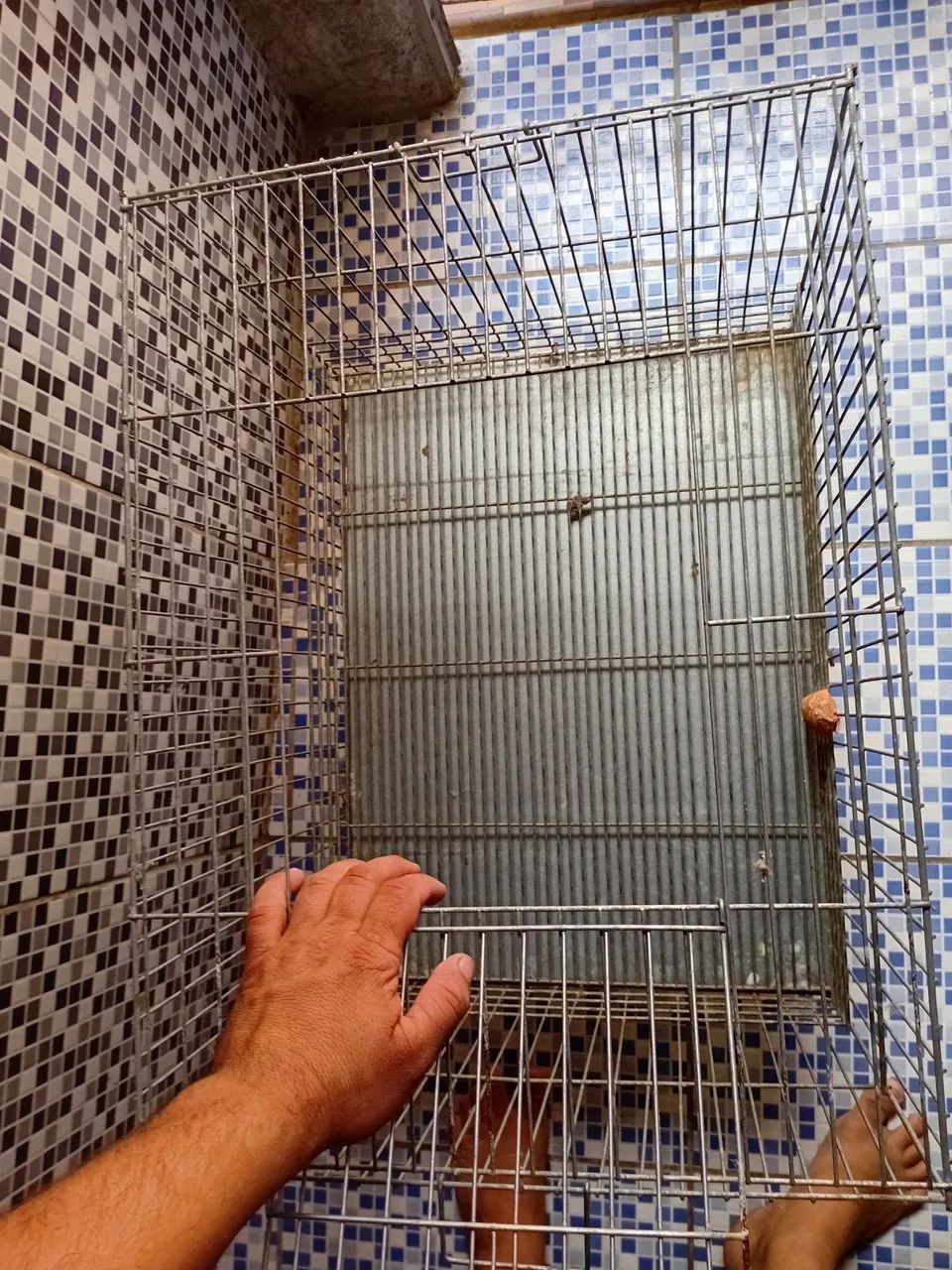 Gaiola coelho  - Foto 3