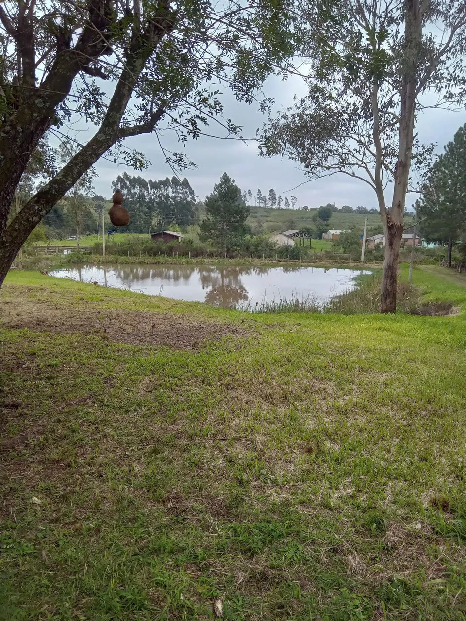 Sítio na Ponte Cordeiro de Farias - Foto 2