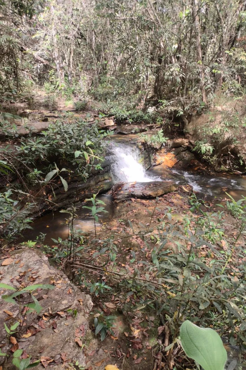 Foto - Luziânia - Área Rural de Luziânia