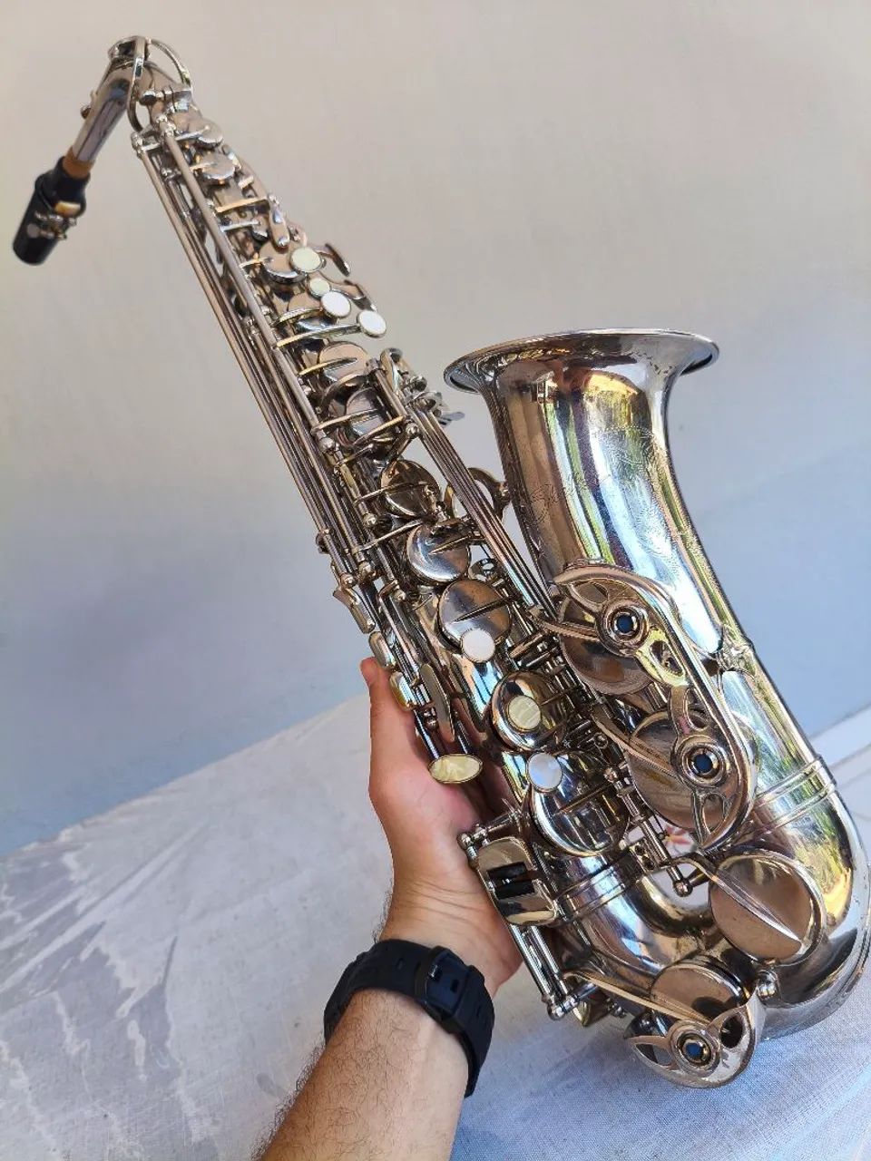Sax Alto Shelter