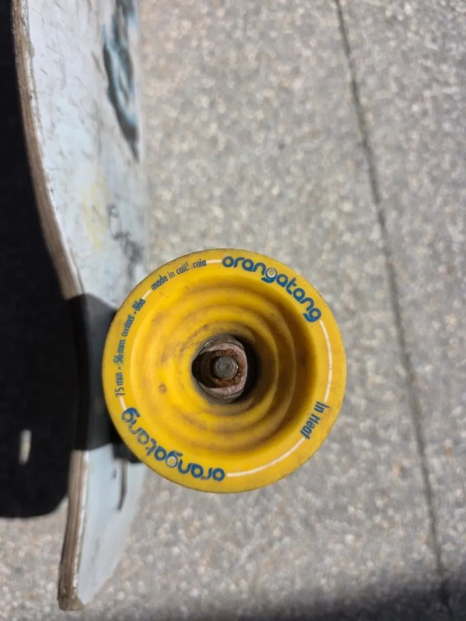 Skate long Shape Original Apex 40 Rocker