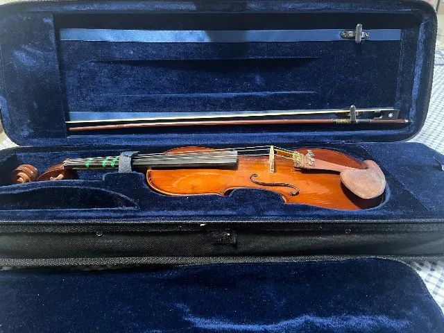 Violino