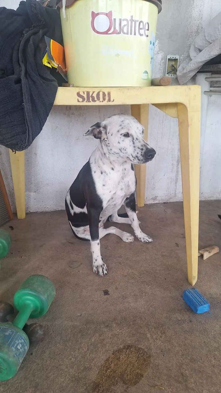 Doação - Foto 4