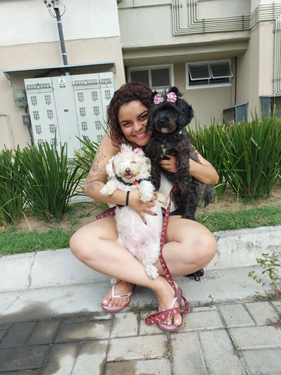 Hospedagem / Pet Sitter / Passeio para Pets (Cachorros/Cães) - Foto 5
