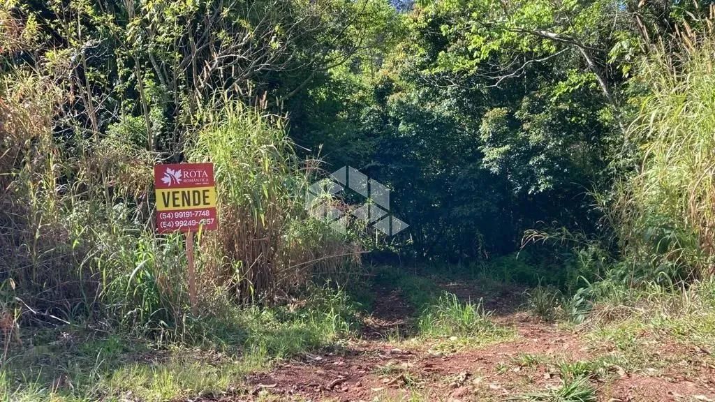 Área para cultivo - Foto 3