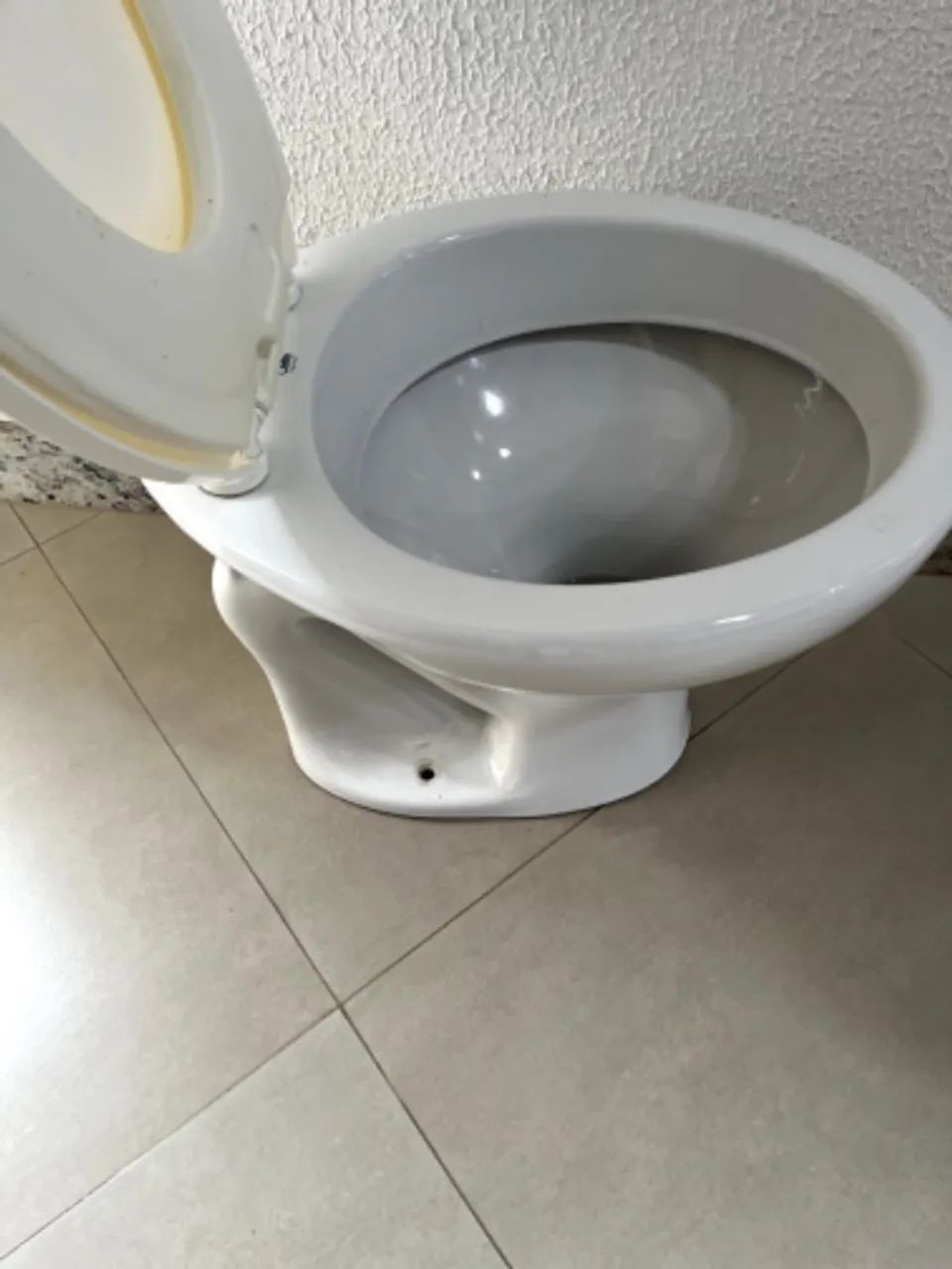 Vaso sanitário - Foto 2