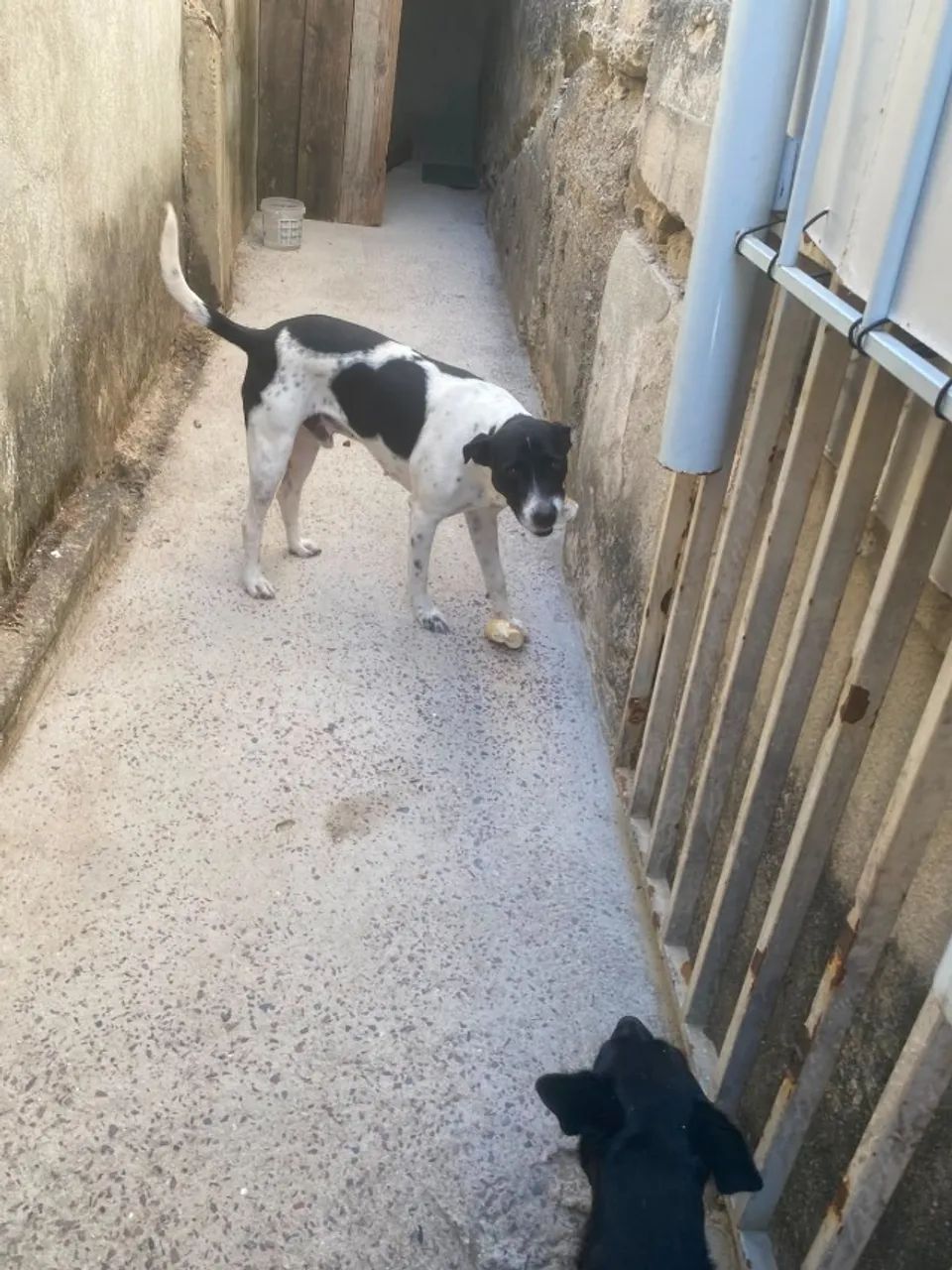 Doação - Foto 2