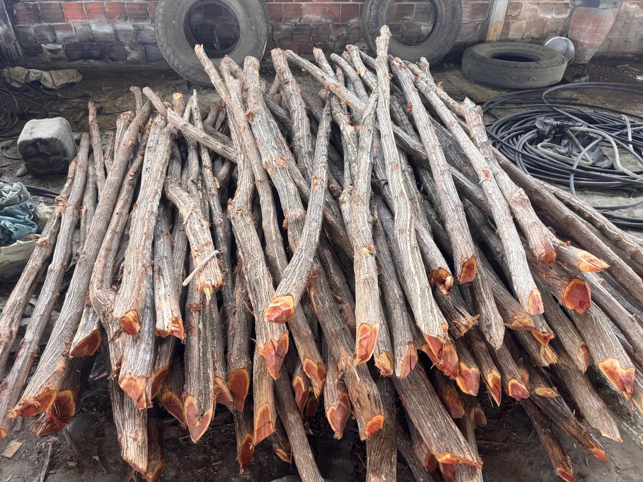 Mockingbird Posts64985880890881121