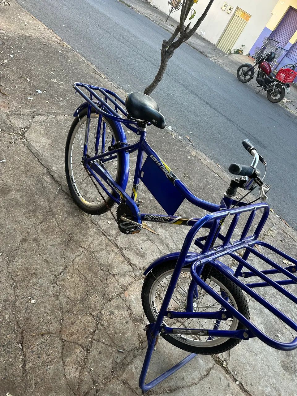 Bicicleta Cargueira