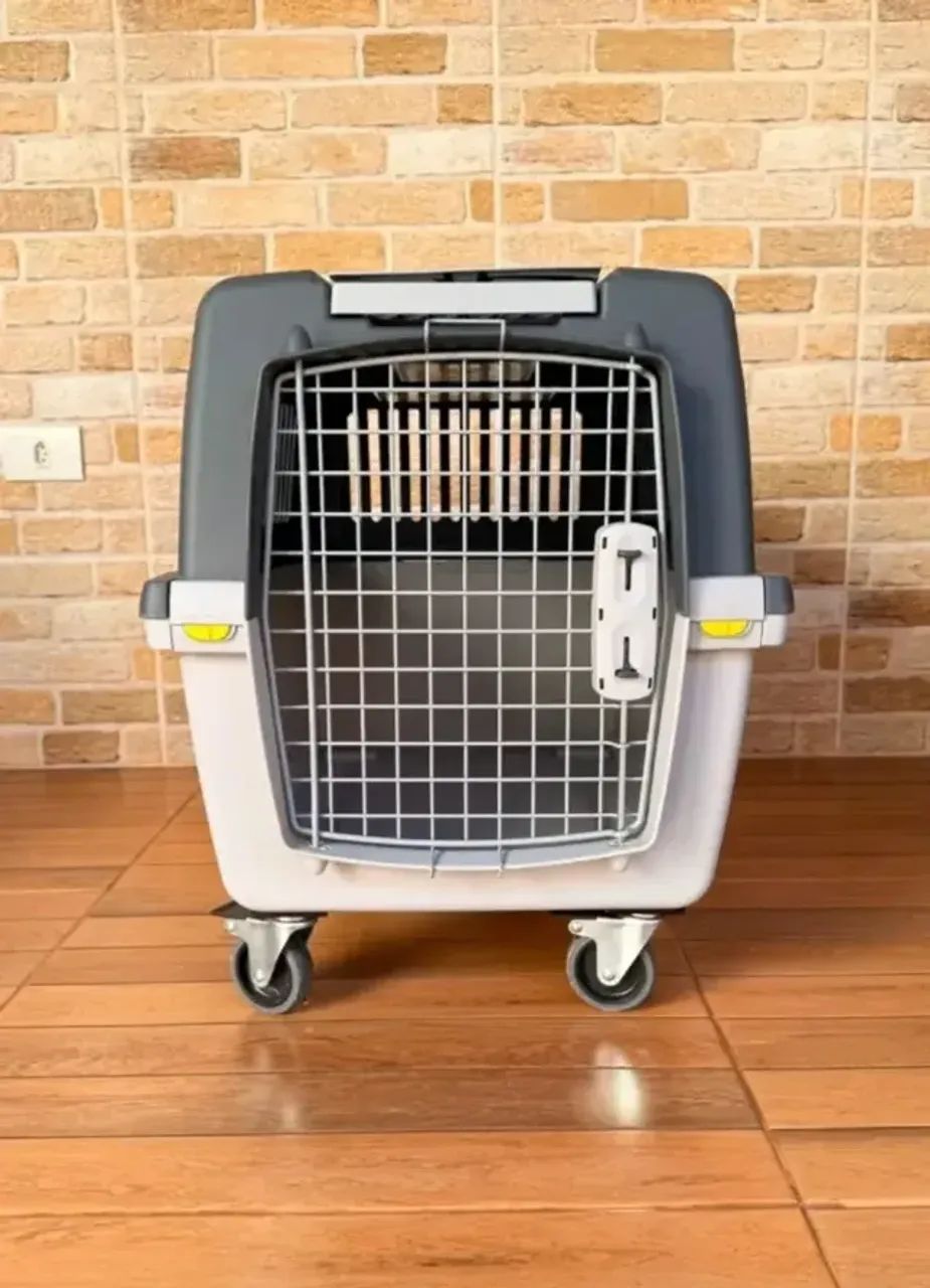Caixa para Transporte de Pets | Seminova - Foto 2