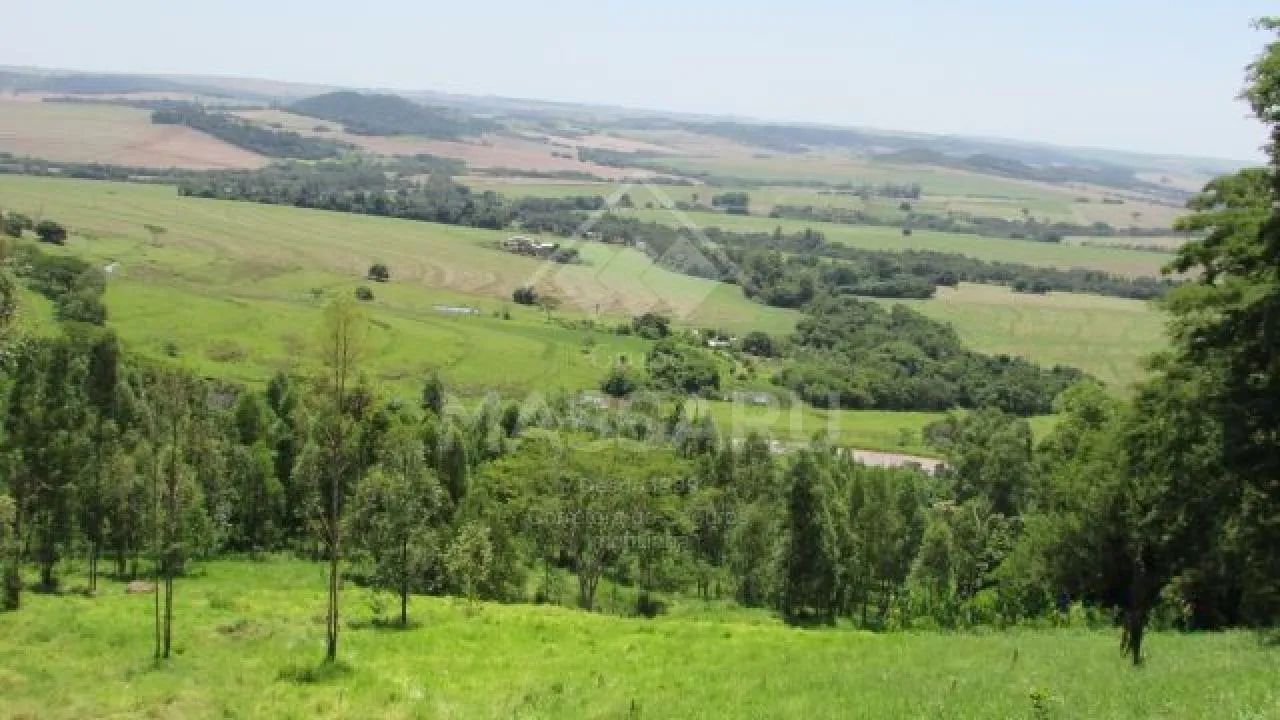 OPORTUNIDADE DE INVESTIR EM PROPRIEDADE RURAL - Foto 5