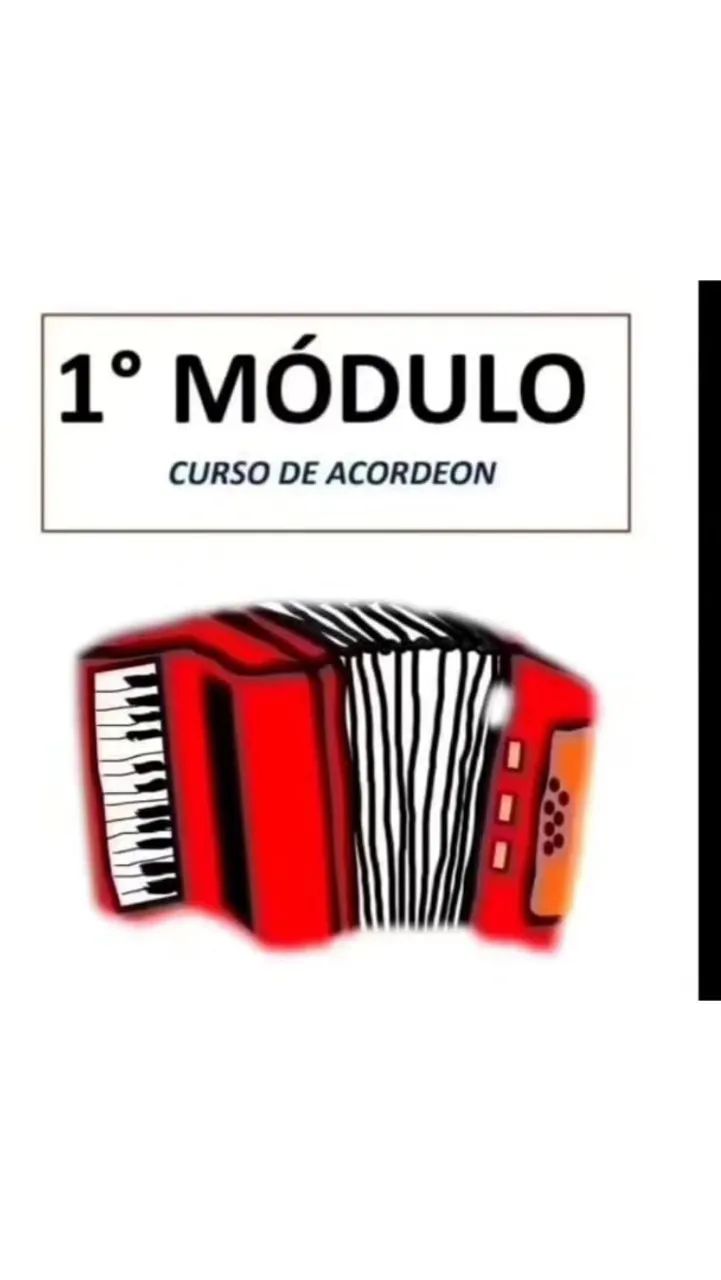 ACORDEON DOLPHIN 120 BAIXOS AFINADA E NOVA DEMAIS  - Foto 5