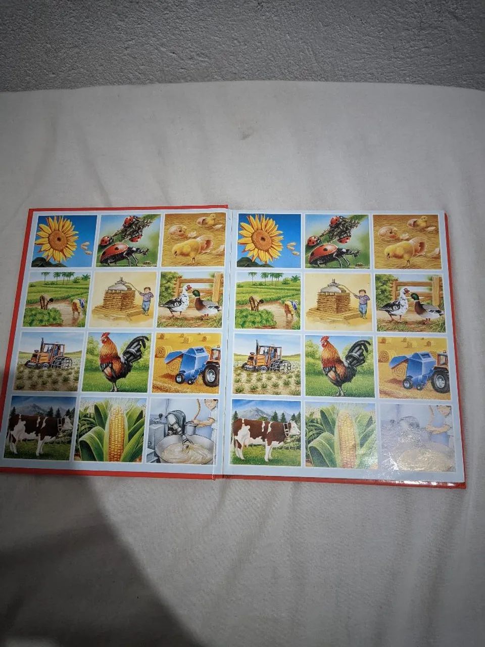 Dicionário por imagens da Fazenda 131p - Foto 2