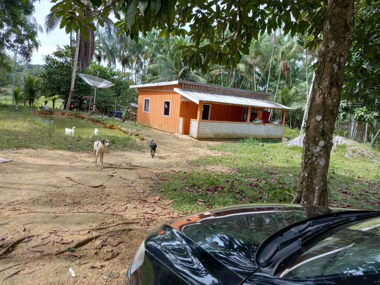 Negócio sitio 
