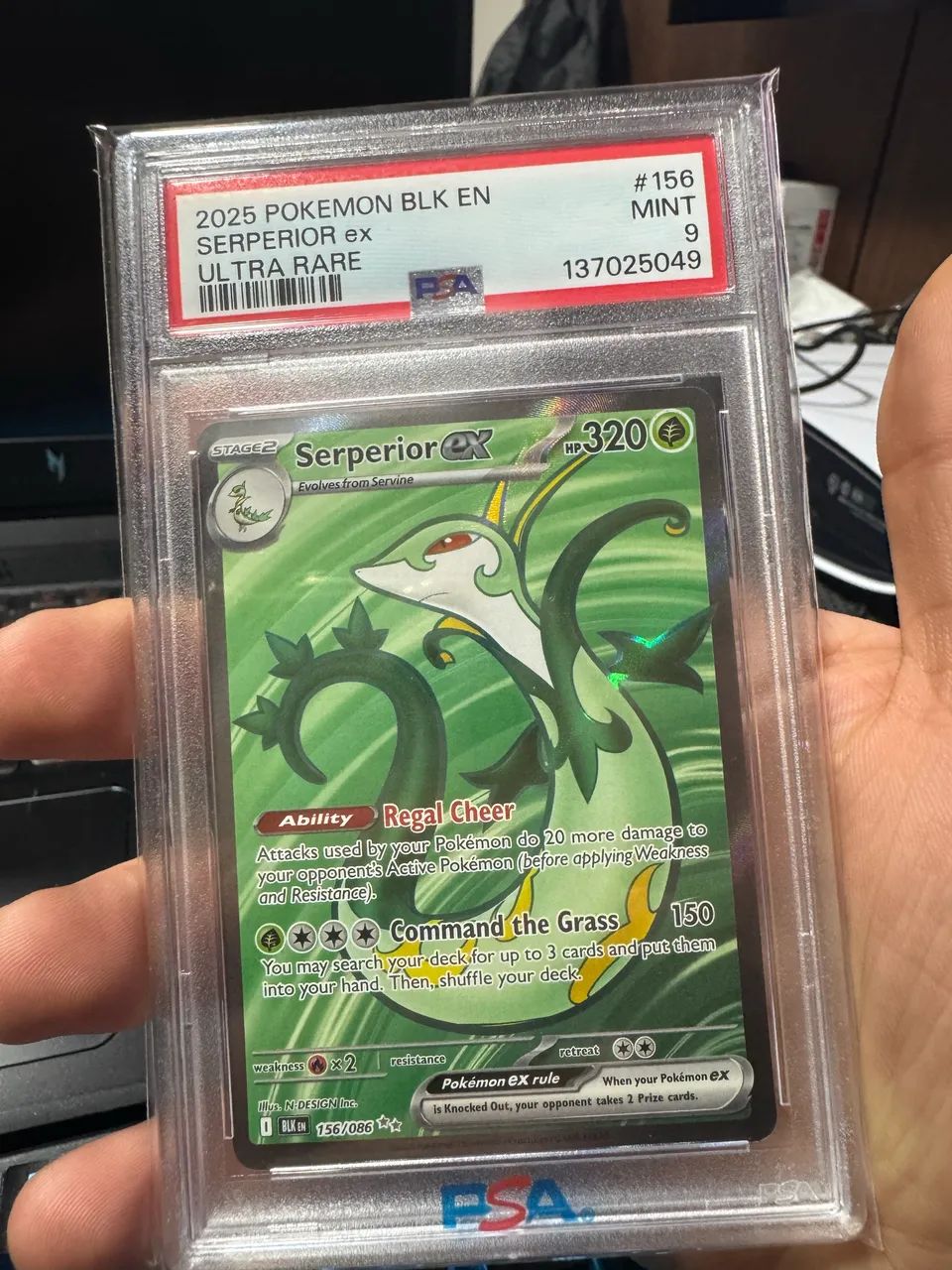 PSA 9 CARTA GRADUADA SERPERIOR ex ULTRA RARE