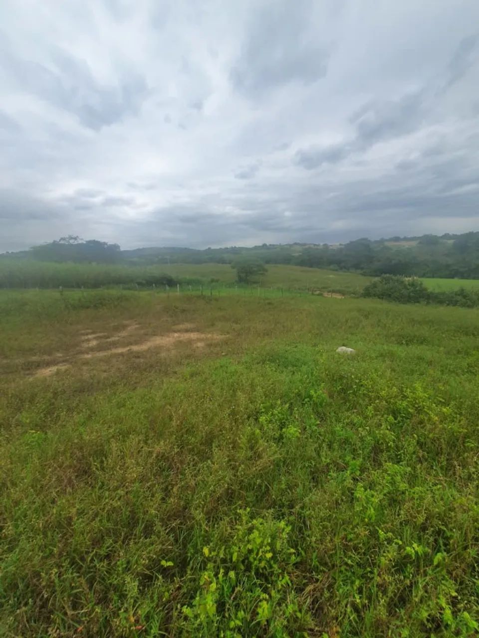 terreno em limoeiro - Foto 2
