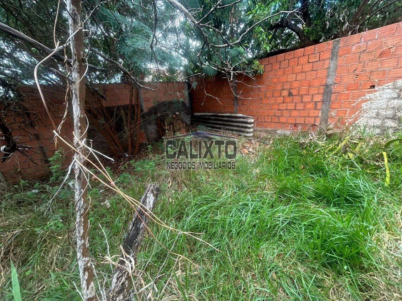 TERRENO BAIRRO MANSOUR - Foto 4