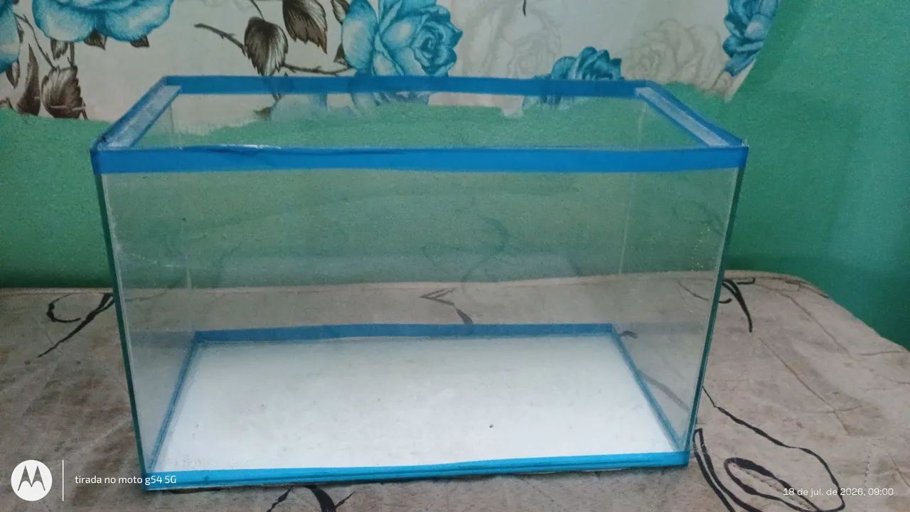 Aquário 12 litros 