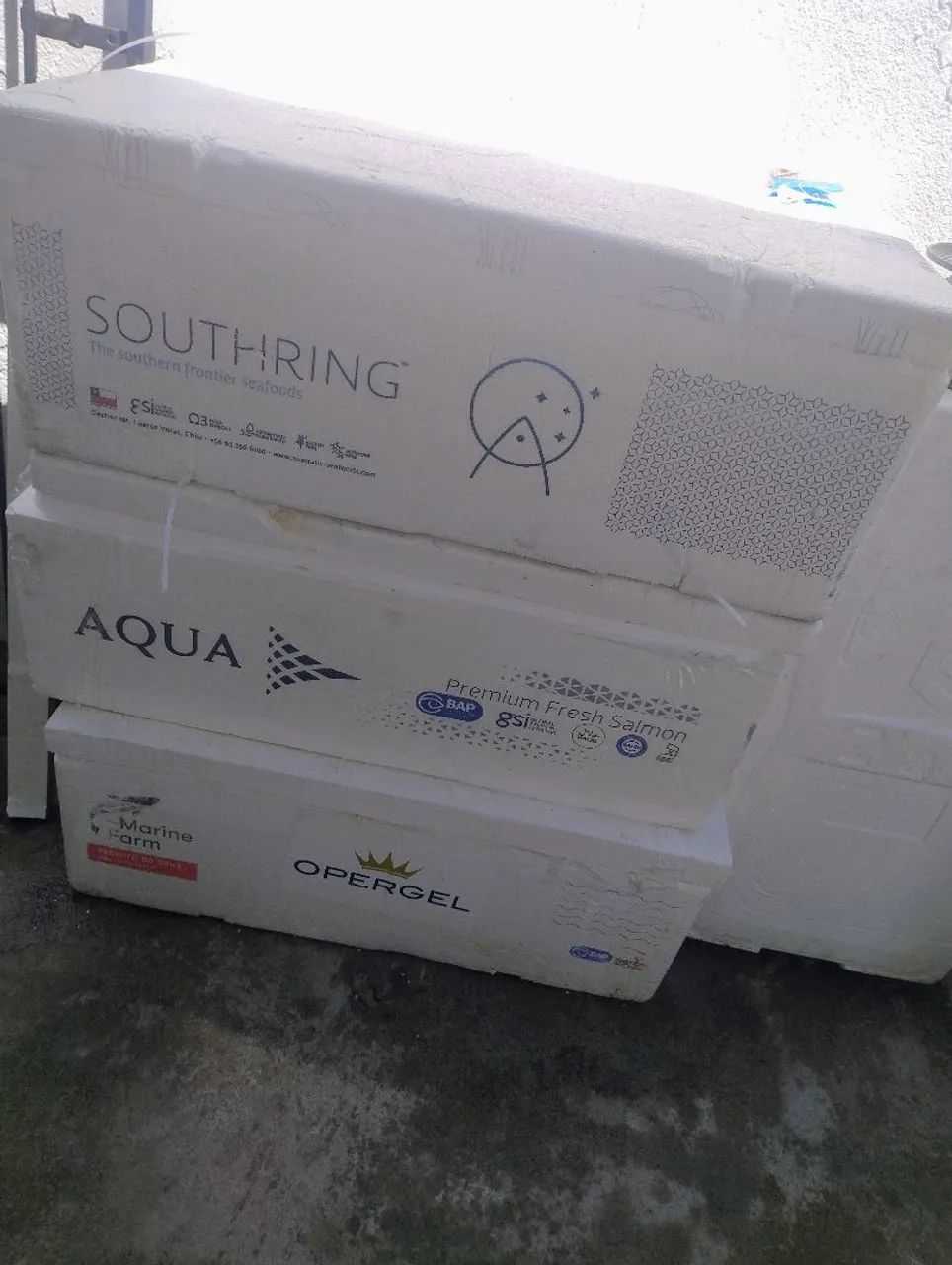 VENDO CAIXA DE SALMAO VAZIA 