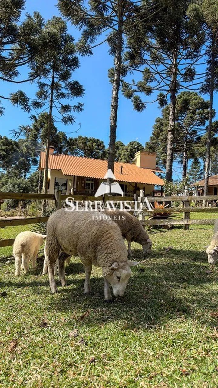 Chácara com casa e chalés em Campo Alegre-30.000m2 - Foto 2