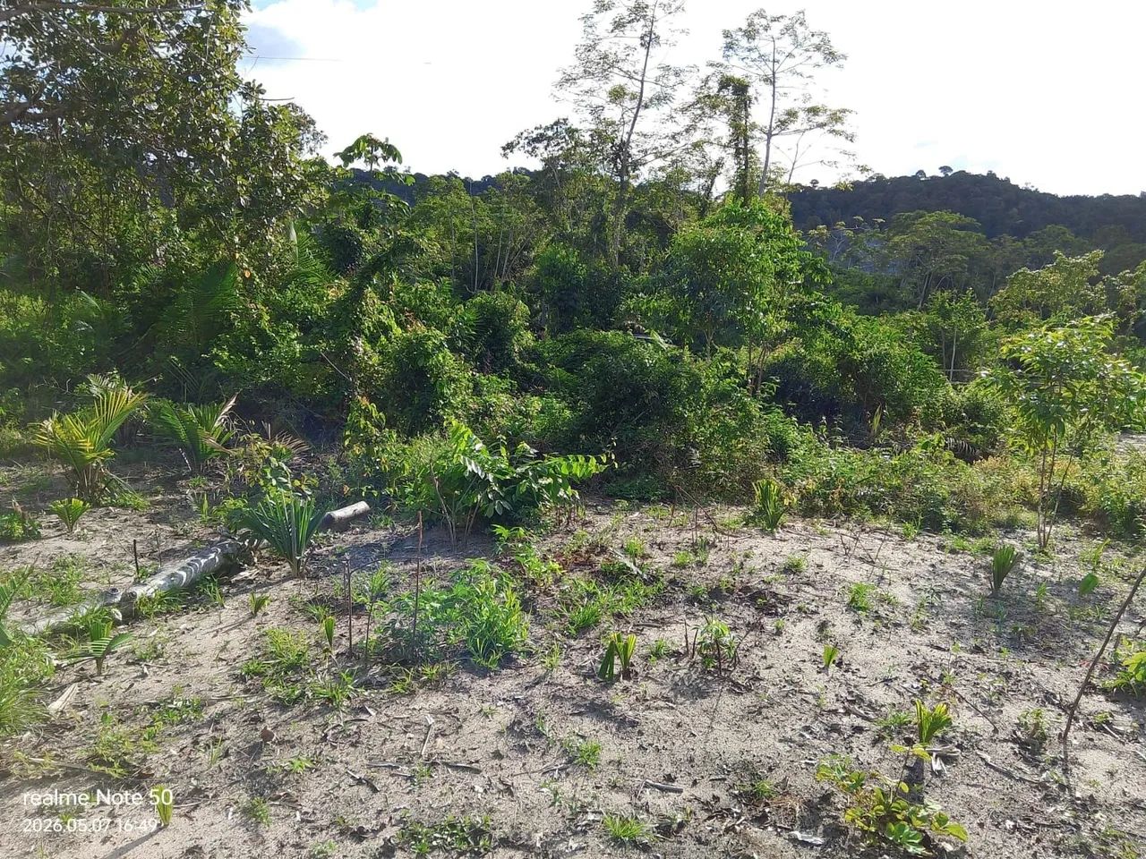 Terreno Lote