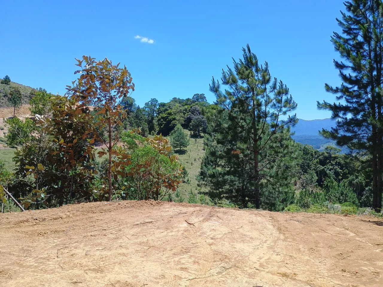 ANITÁPOLIS/SC - Terreno para sítio com 2hectares  - Foto 2