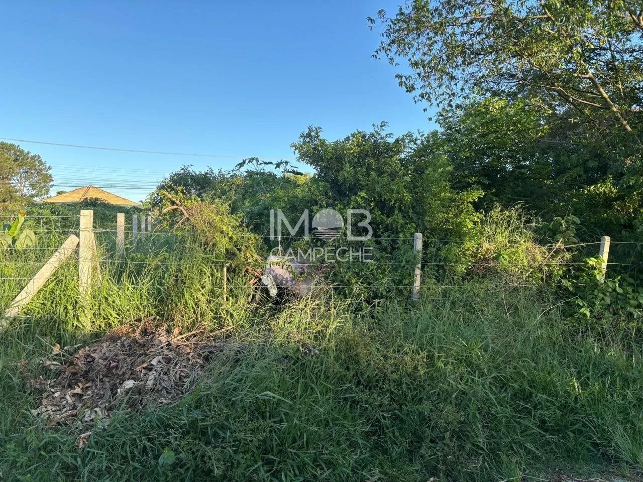 Terreno com 457,50m² à venda no Campeche - Florianópolis/SC - Foto 5