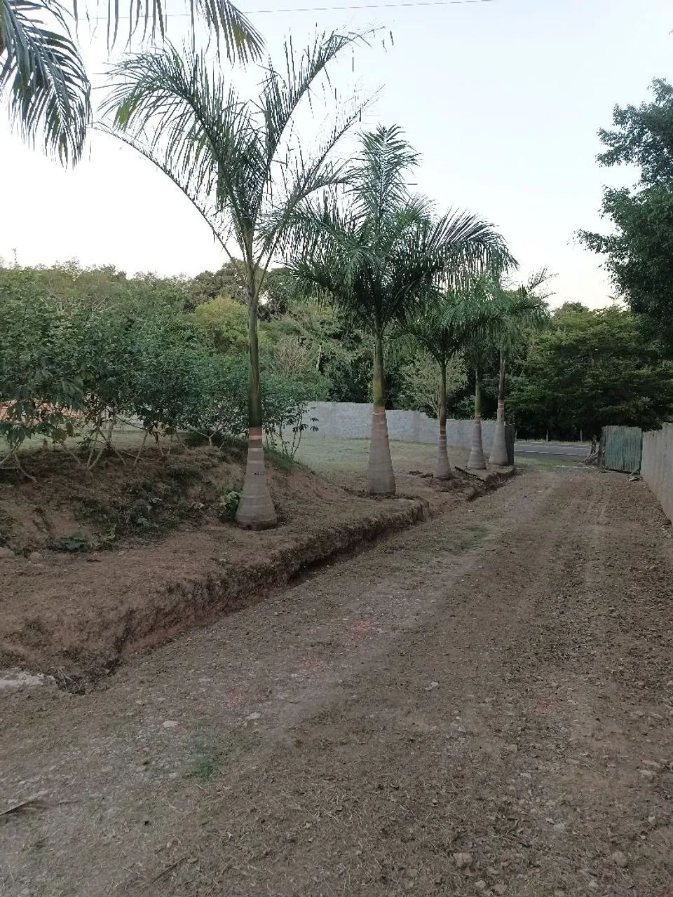 Vendo sítio 20200M² em cesário Lange sp . - Foto 3