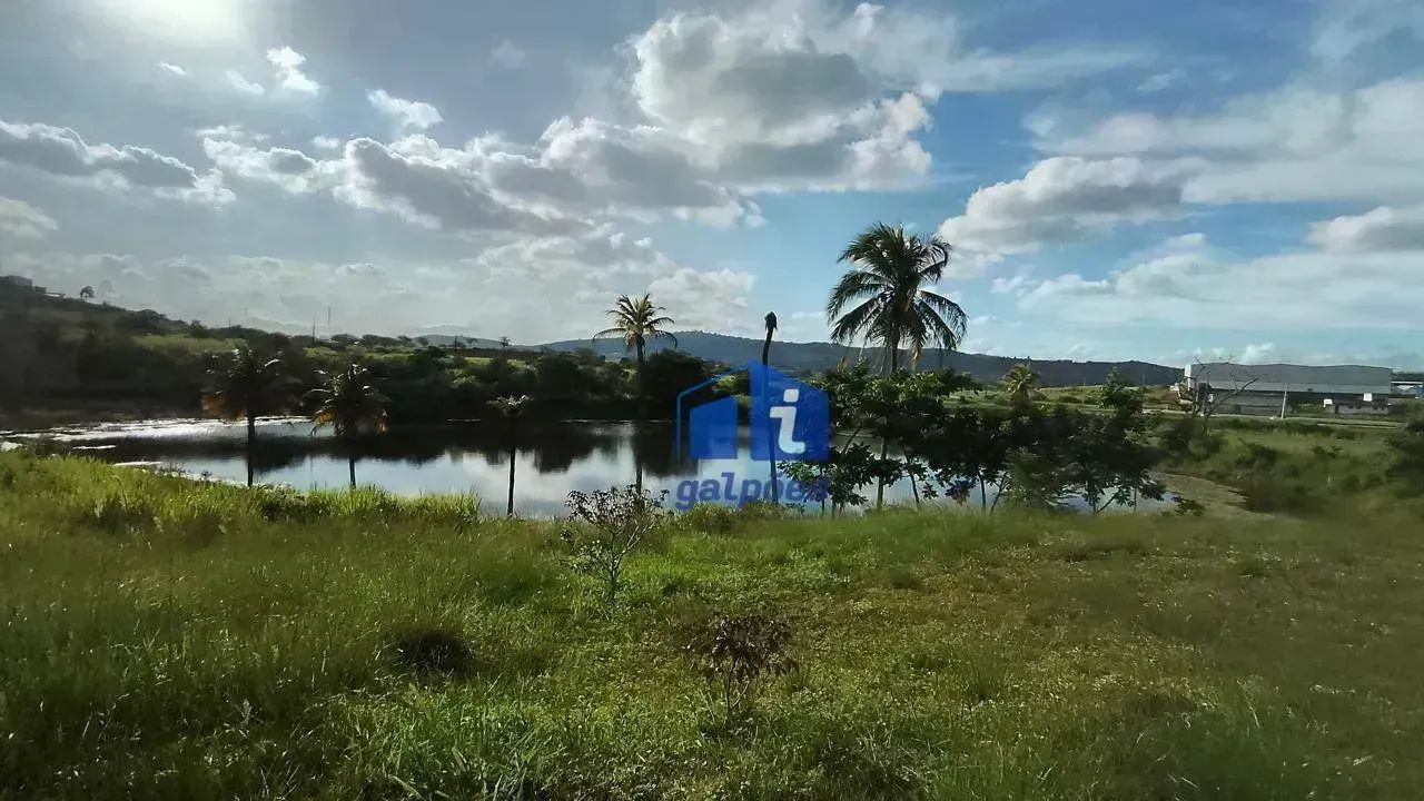 Área com 60.000 m² às margens da BR 232 em Pombos - PE - Foto 5