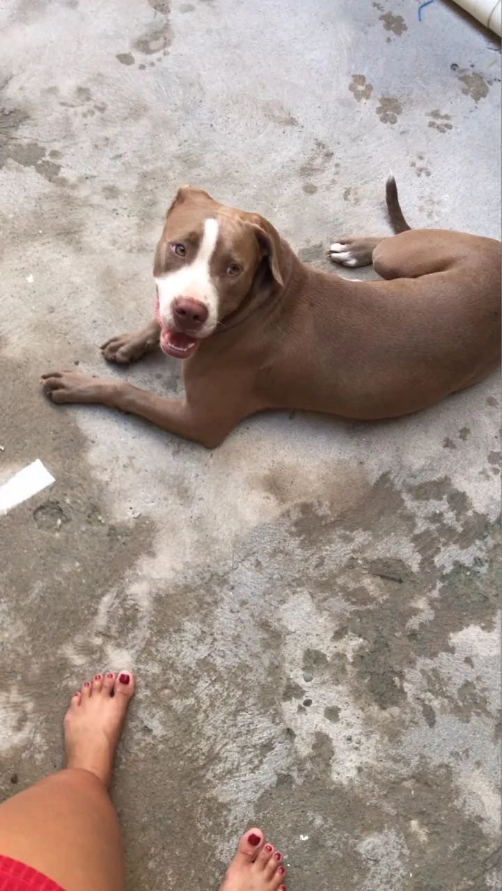 Doação  - Foto 4
