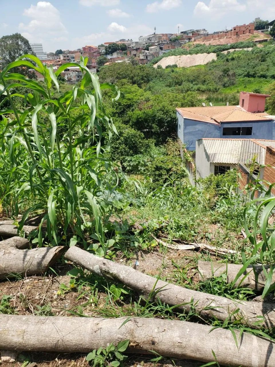 Foto - Jandira - Jardim Patriarca