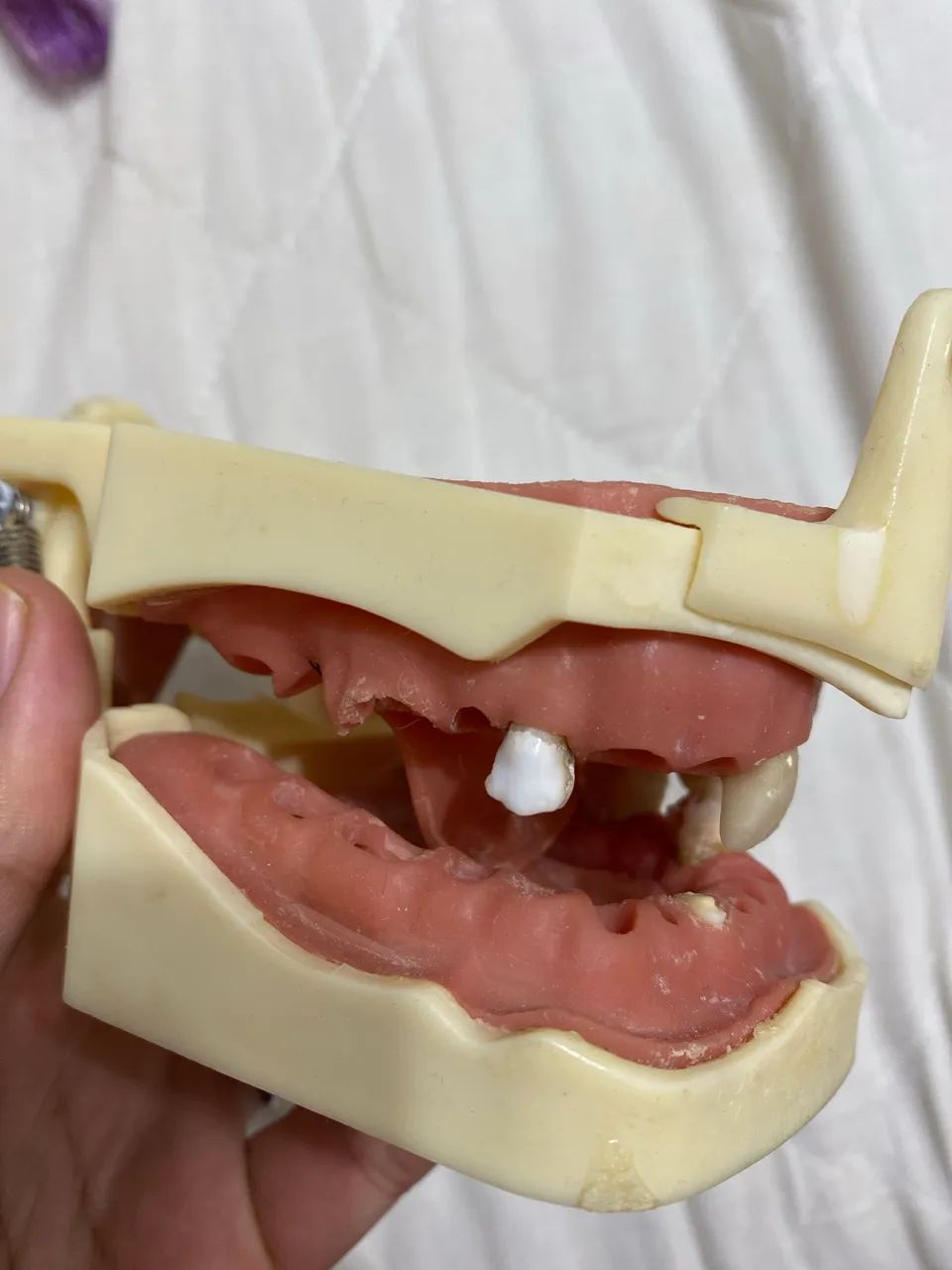 Manequim odontológico para endo (usado) Dent Art  - Foto 2