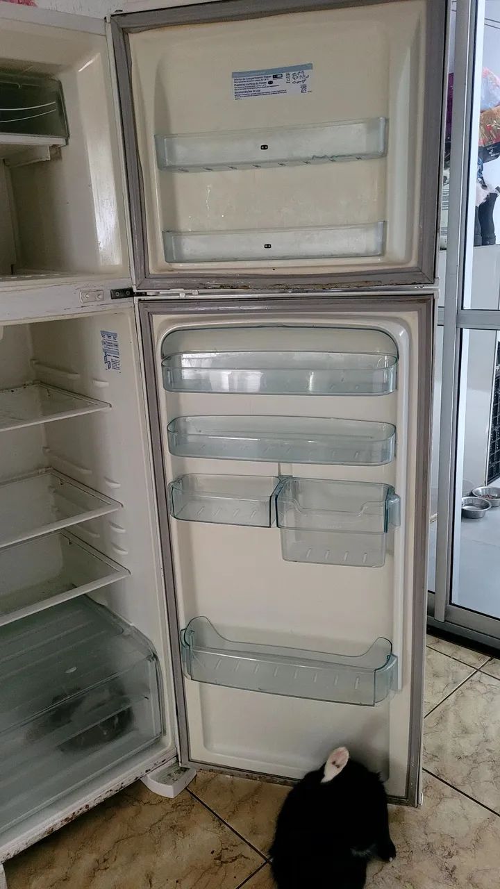 Geladeira Electrolux DF38 - Foto 4