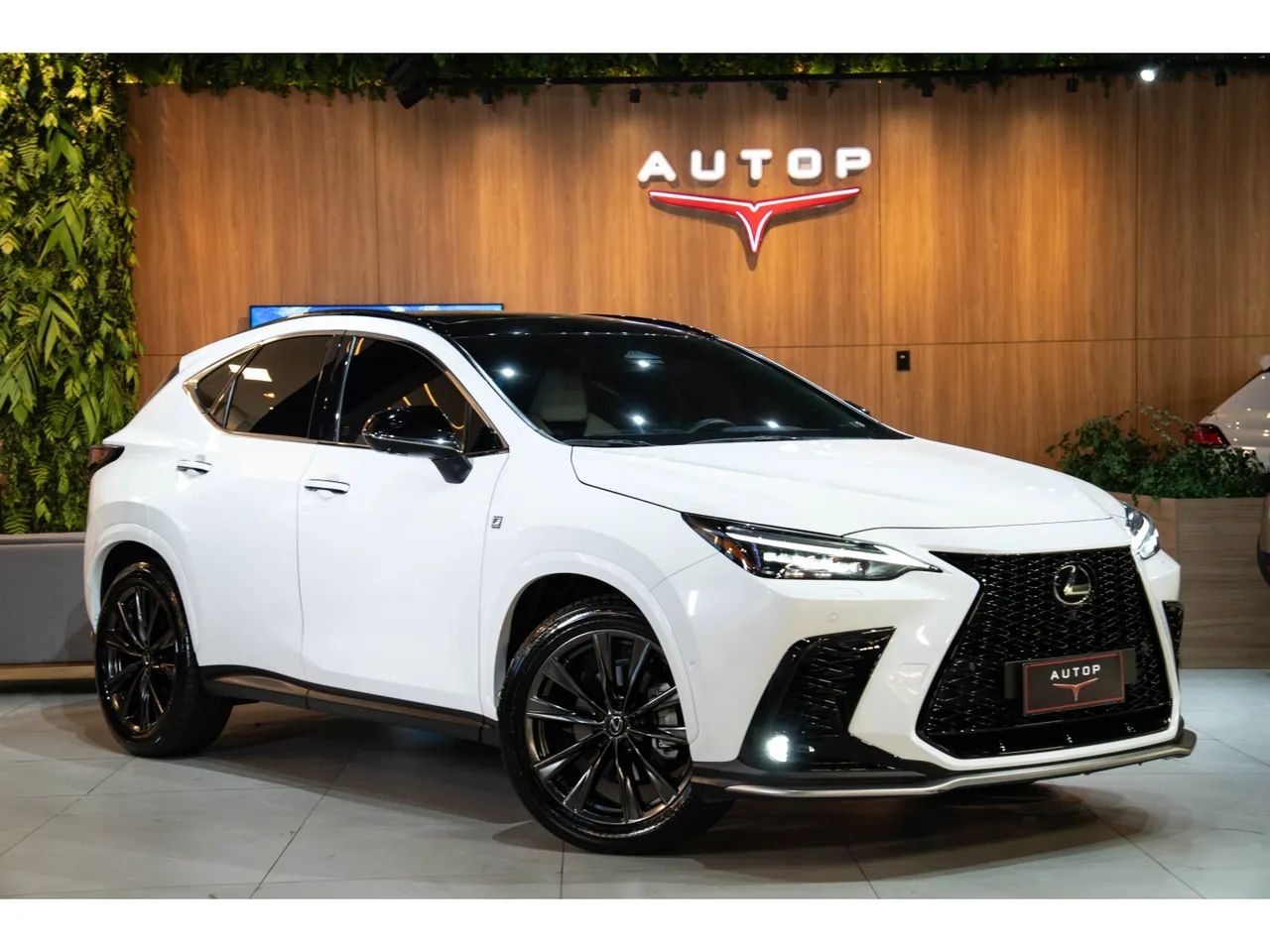 Lexus NX-350H F-sport 2.5 16V Aut. (hybrid) 2024