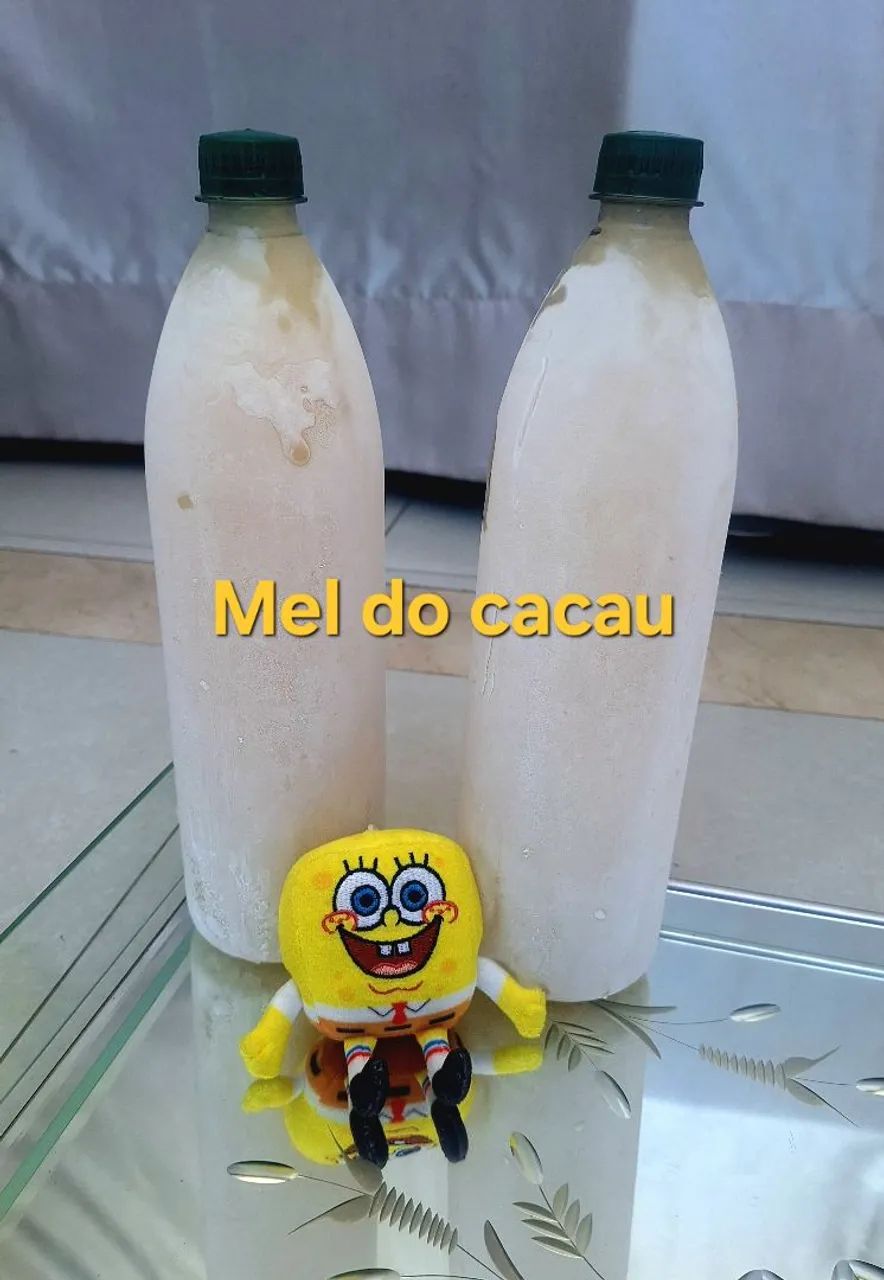NECTAR DO CACAU - Foto 3