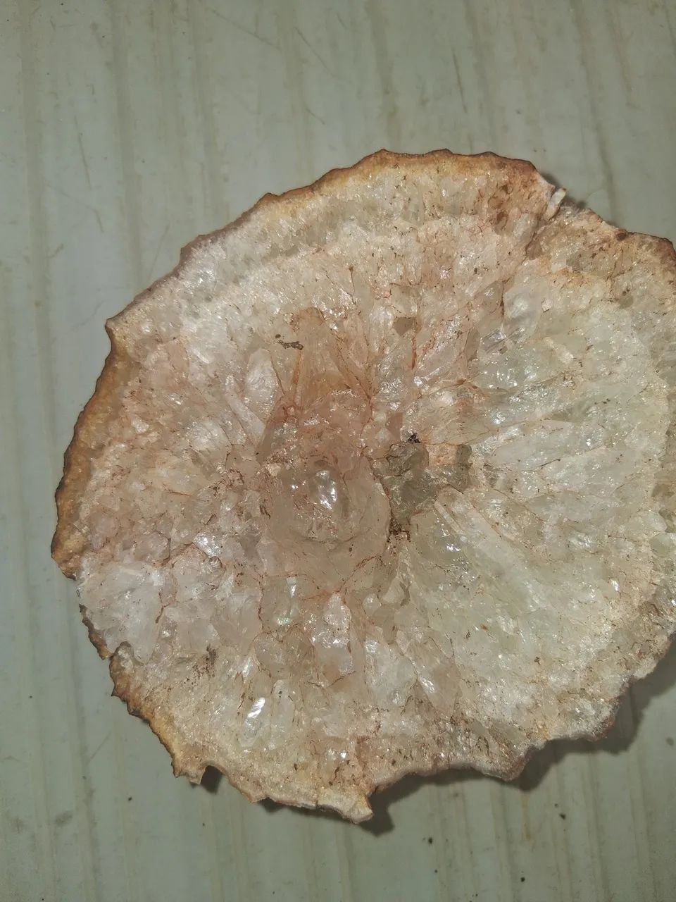 Geodo - Foto 2