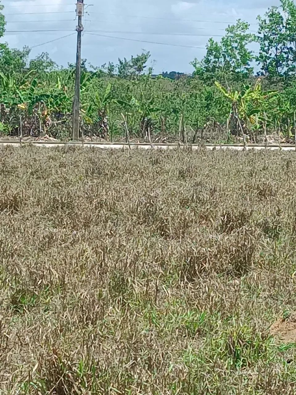 Vende-se Lotes - Foto 5