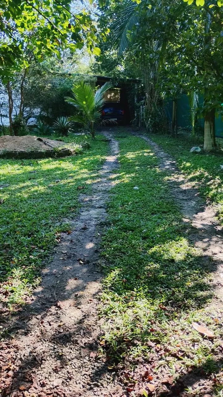 Chácara completa com árvores frutíferas parquinho e lago com tilápias  - Foto 10