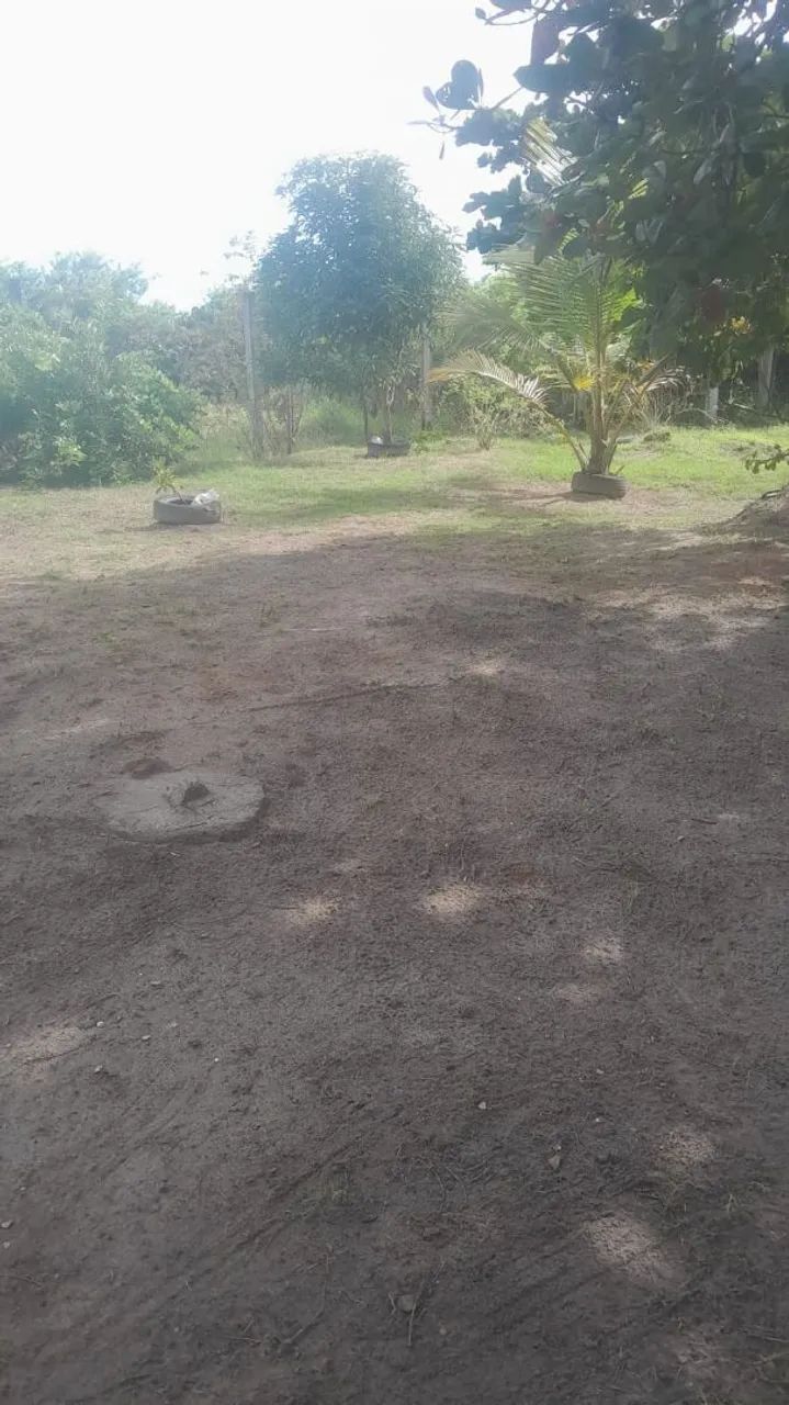Chácara  - Foto 4
