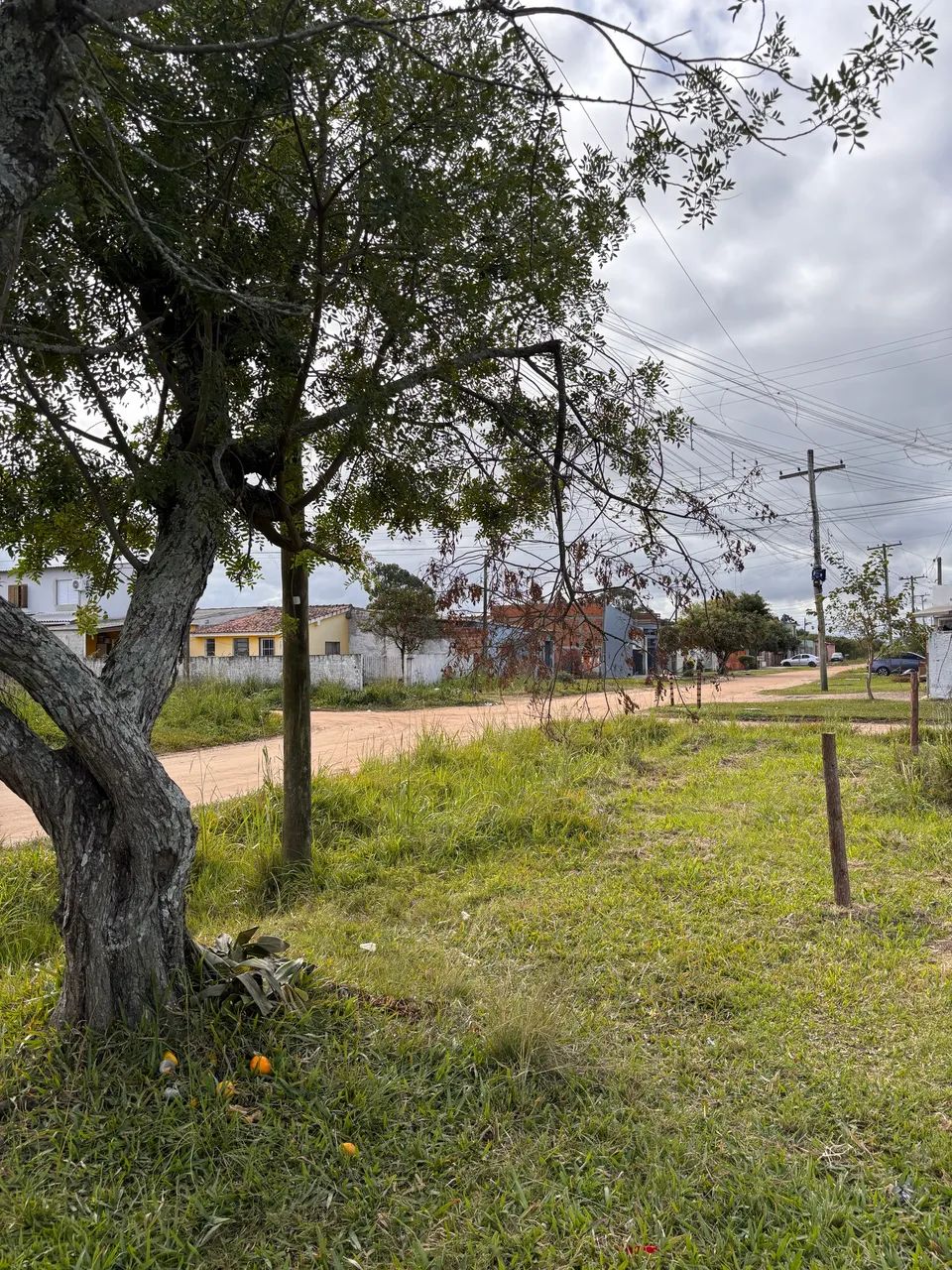 Terreno nas Três Vendas - Foto 3