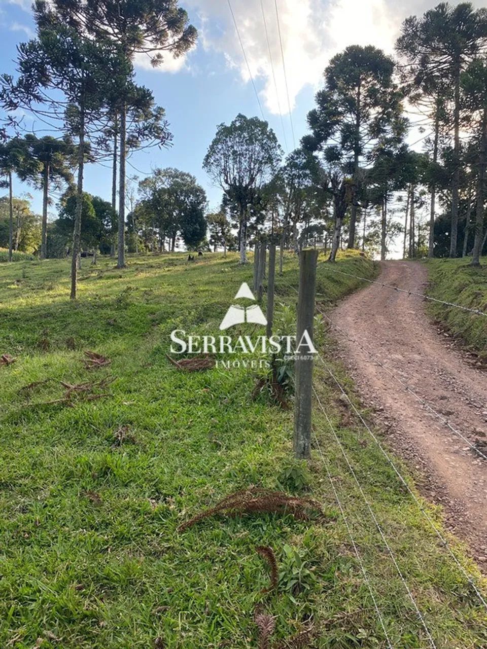 Chácara com pastagem e nascentes - 75.468 m2 - Foto 4