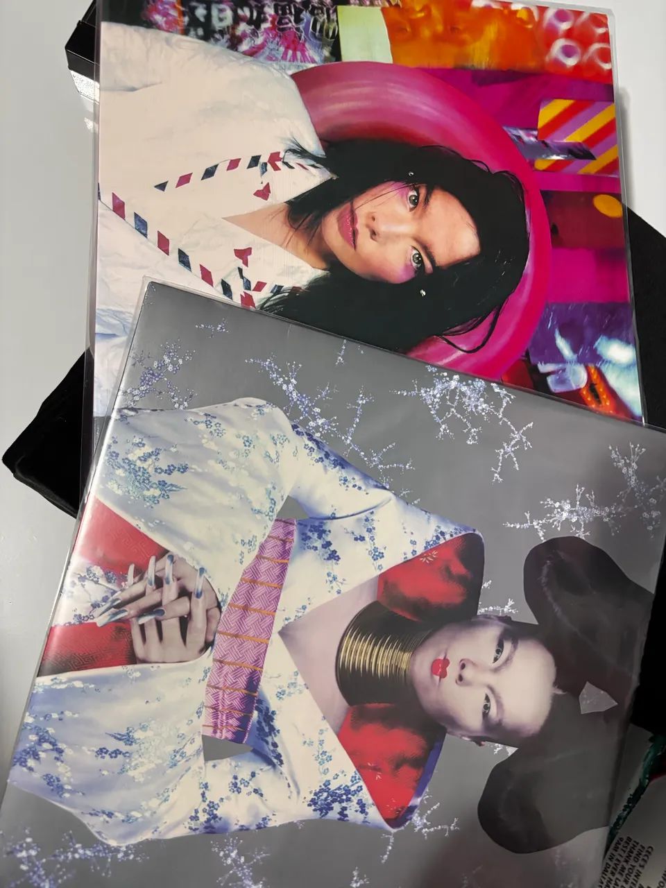 Disco de Vinil Post e Homogenic - Foto 2