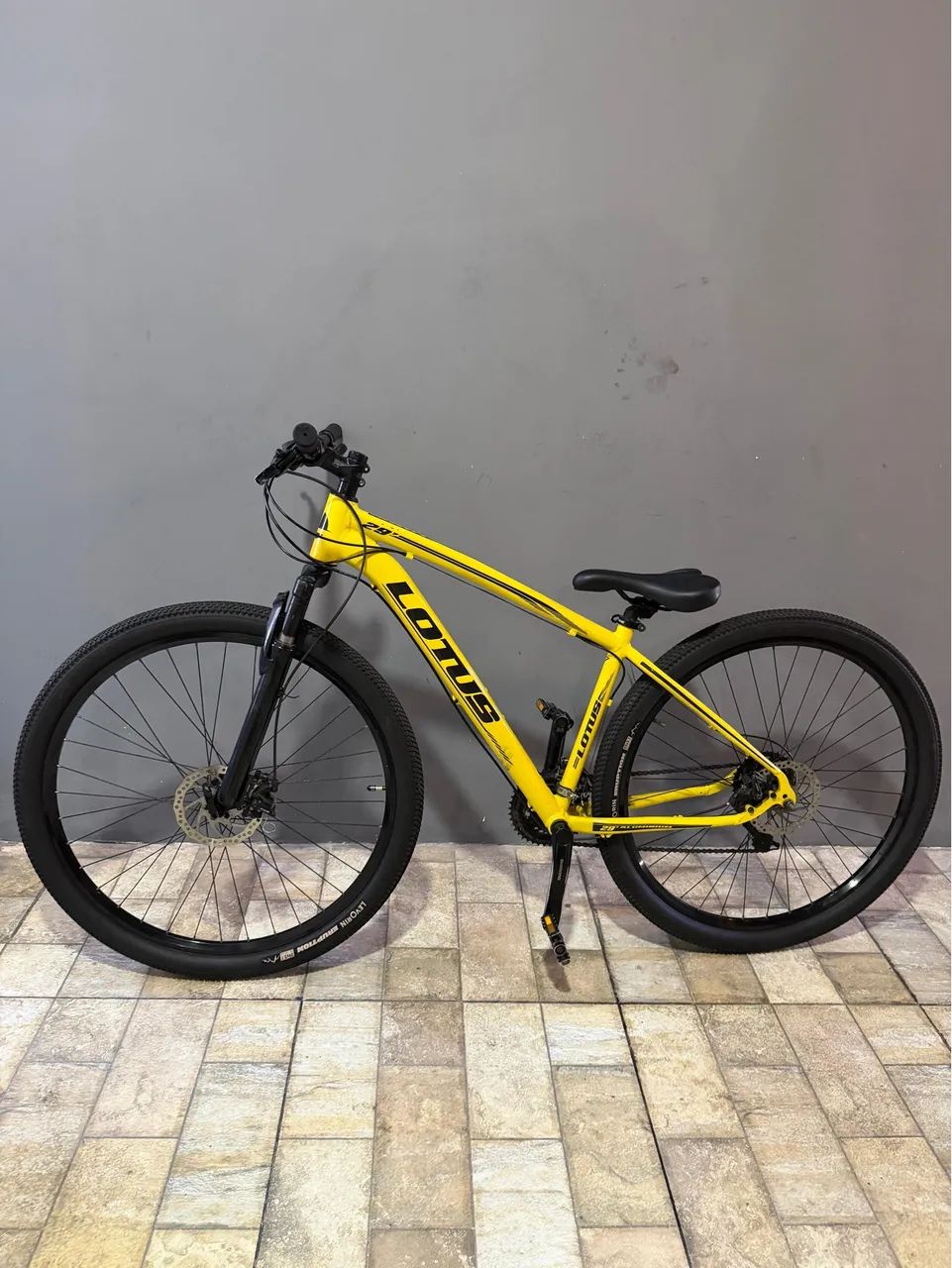 Bike Lotus Aro 29 