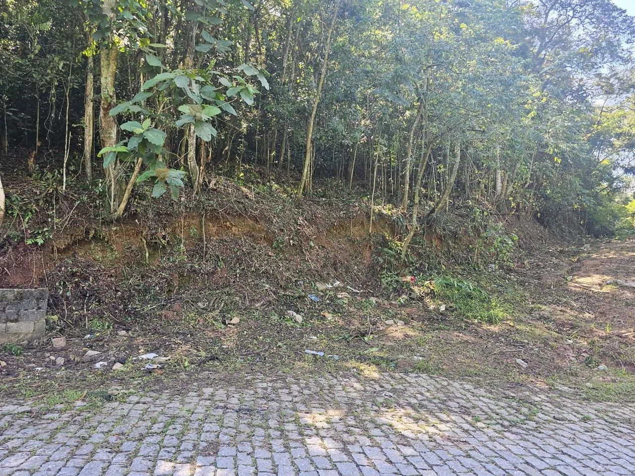 Terreno  - Foto 2