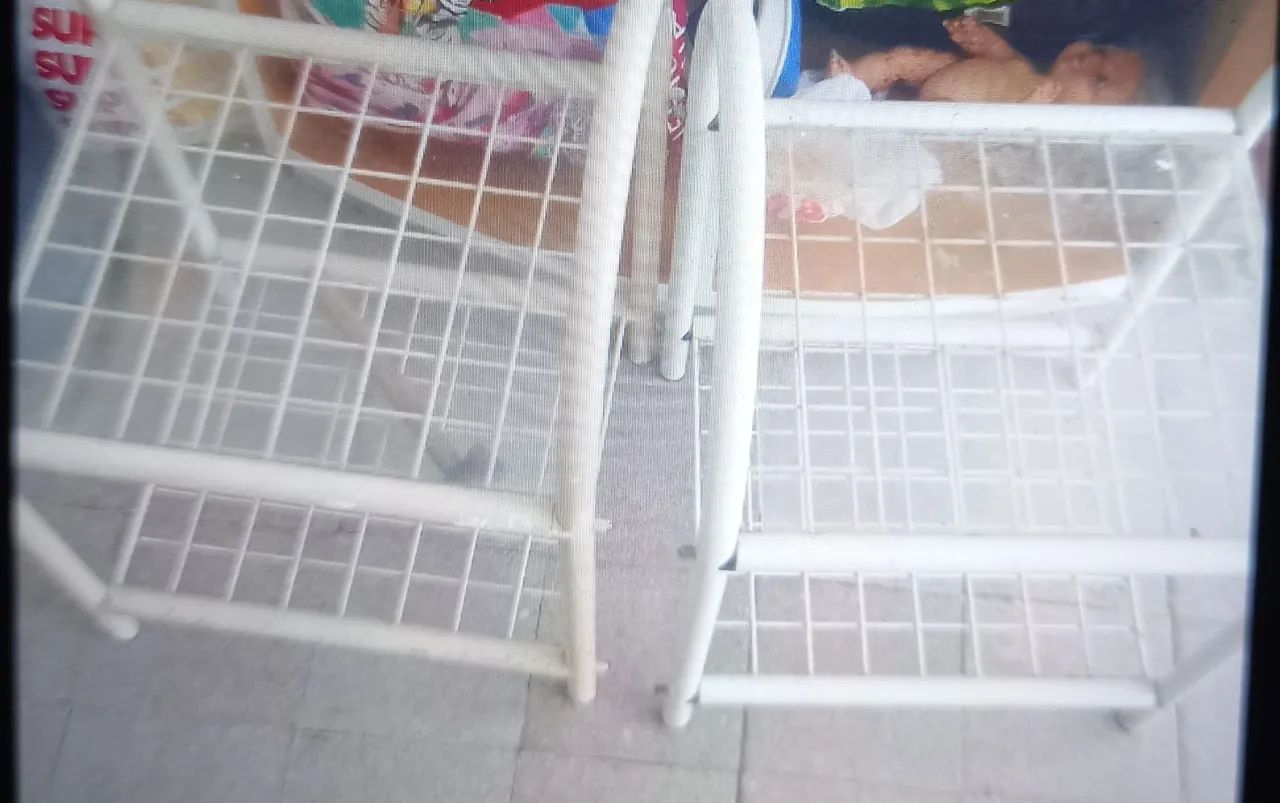 2 criados - Foto 3